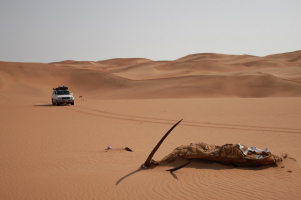 a shot of the Namibian Desert with an springbok carcass half buried in the sand and a 4x4 approaching from the distance
