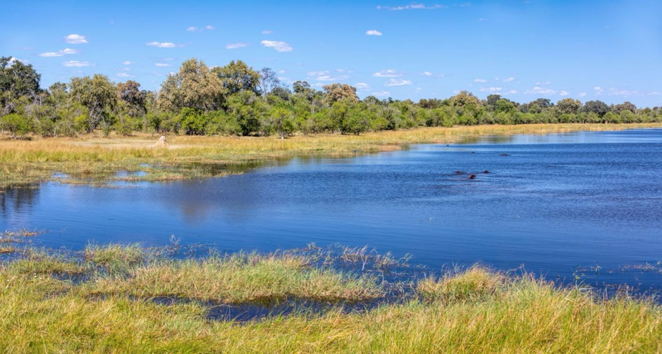 A picture of a beautiful blue river in Botswana Safari